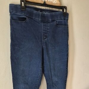 Gloria Vanderbilt Navy Skinny Jeans